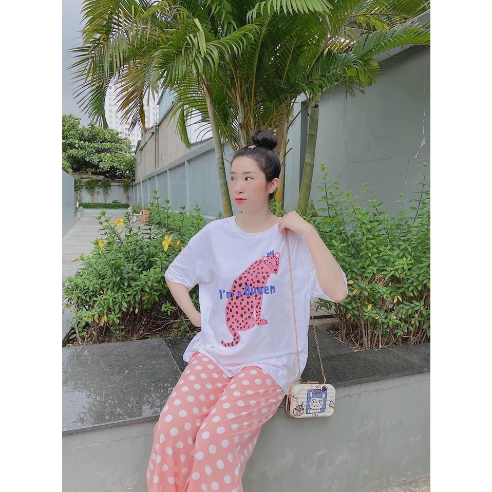 set bộ áo thun form rộng kèm quần dài suông chấm bi báo hồng na