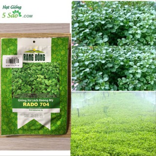 HẠT GIỐNG XÀ LÁCH XOONG MỸ RADO 704 ( 1G ) RẠNG ĐÔNG