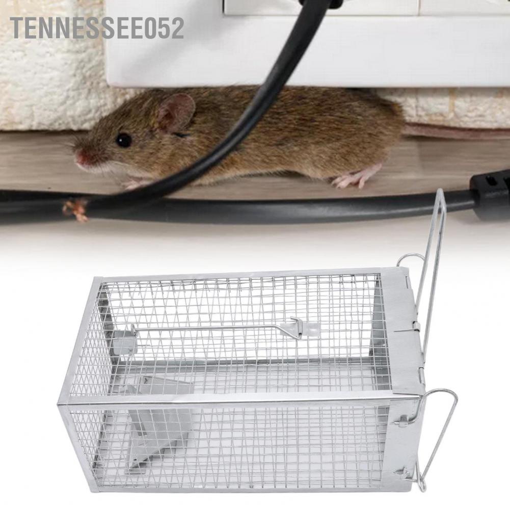 Hàng HOT Bẫy chuột lồng có thể tái sử dụng bằng sắt một cửa ngoài trời trong nhà【Tennessee052】