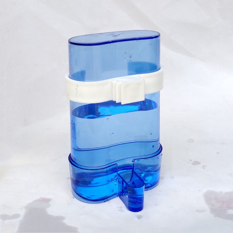 Dụng Cụ Cho Chim Uống Nước Tiện Dụng