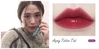 SON XĂM ANPOY TINT