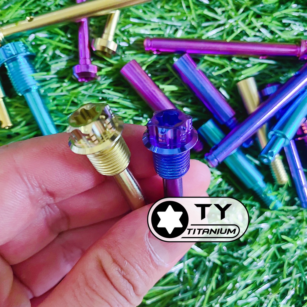 Ốc titan gr5 ty xỏ giữ bố heo dầu các dòng xe