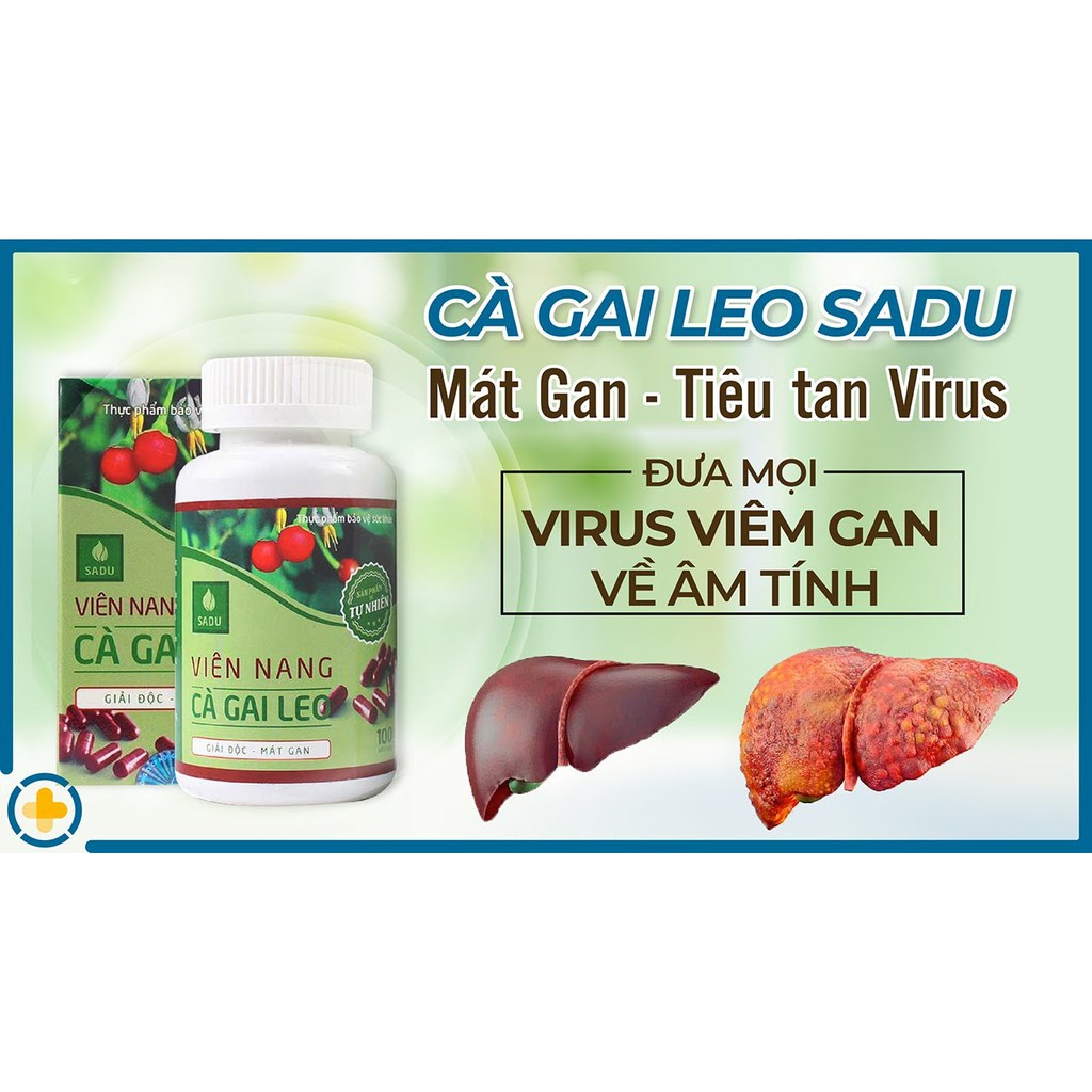 [TÂM AN - CHÍNH HÃNG] Viên nang cà gai leo Sadu - Hộp 60 viên - Bảo vệ lá gan của bạn hàng ngày