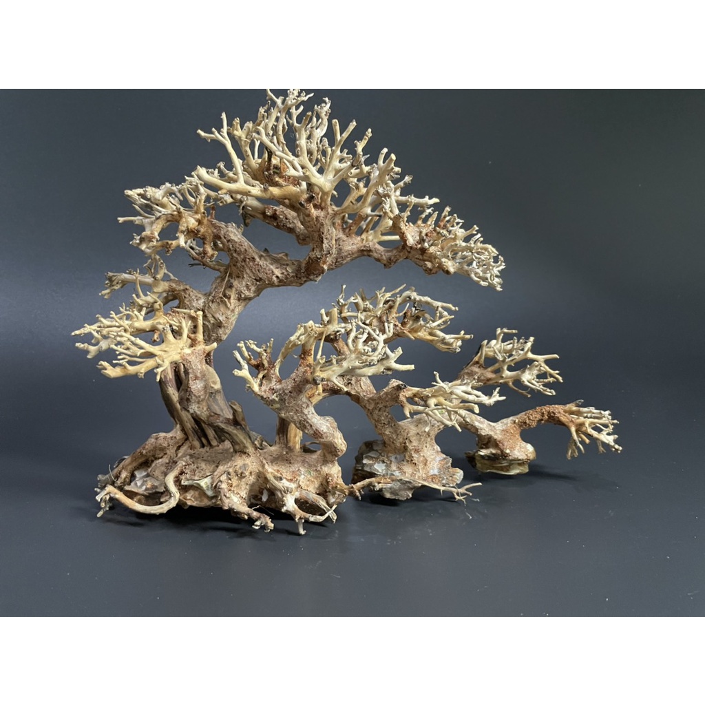 Lũa Bonsai, Lũa thủy sinh dùng trang trí hồ cá cảnh, hồ thủy sinh, văn phòng, nhà cửa