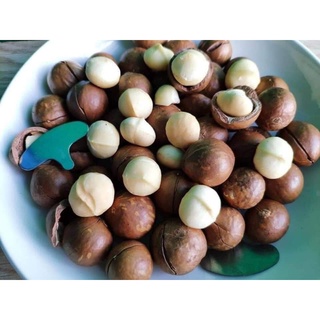 500G MẮC CA SẤY NỨT ĐĂK LĂK NHÀ LÀM