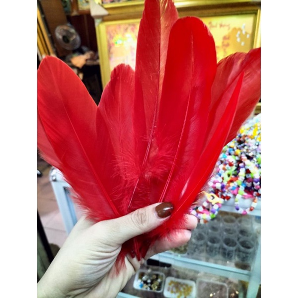 Lông gà nhân tạo đủ màu làm trang trí nhà cửa làm đồ handmade
