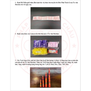 Pháp Bảo An Vị Tượng- Bộ yểm kinh tượng Tu viện Shechen Nepal [PBMC]
