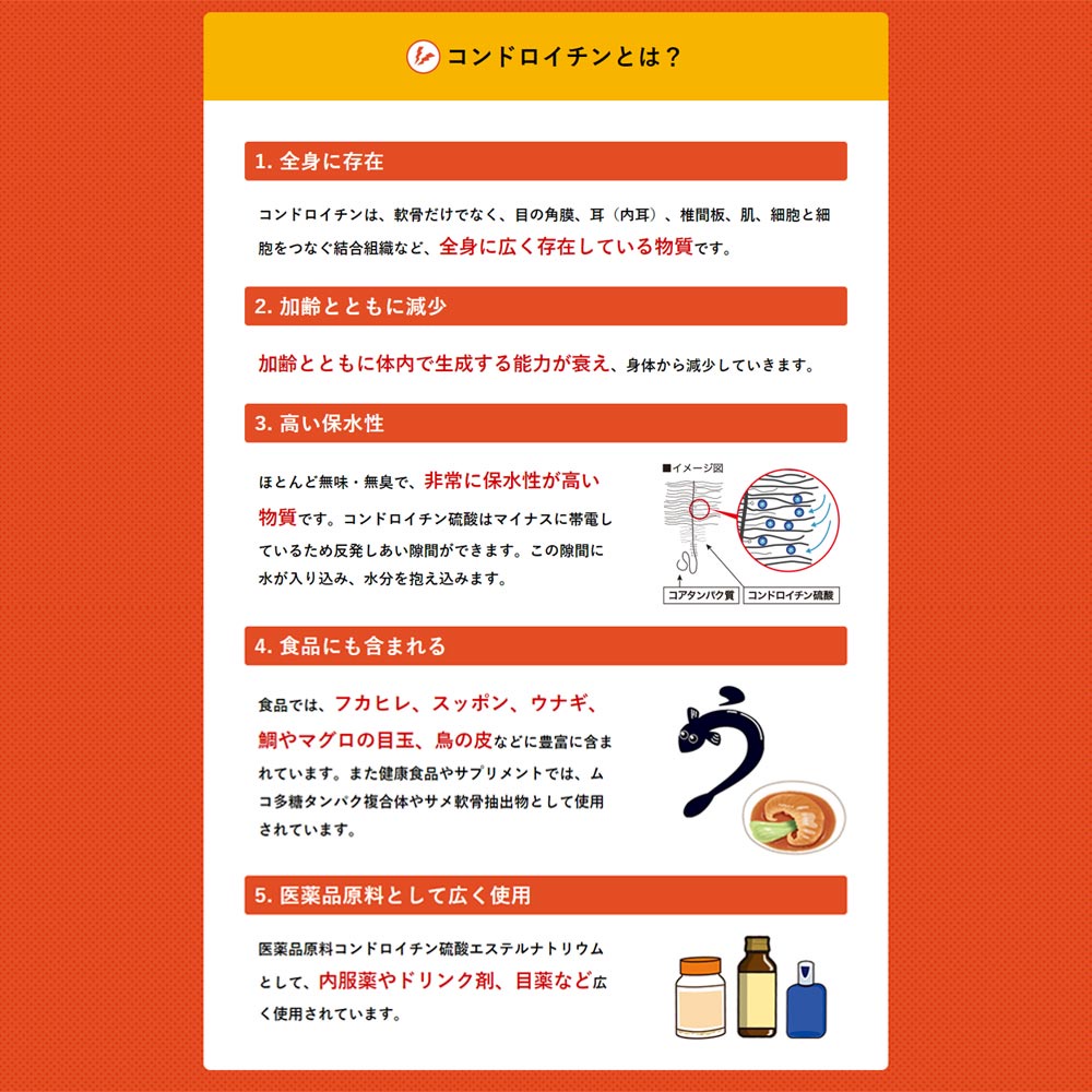 Viên Uống Bổ Xương Khớp ZS Chondroitin Cao Cấp