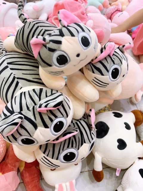 Mèo chi - gấu bông Mèo Chi  các cỡ