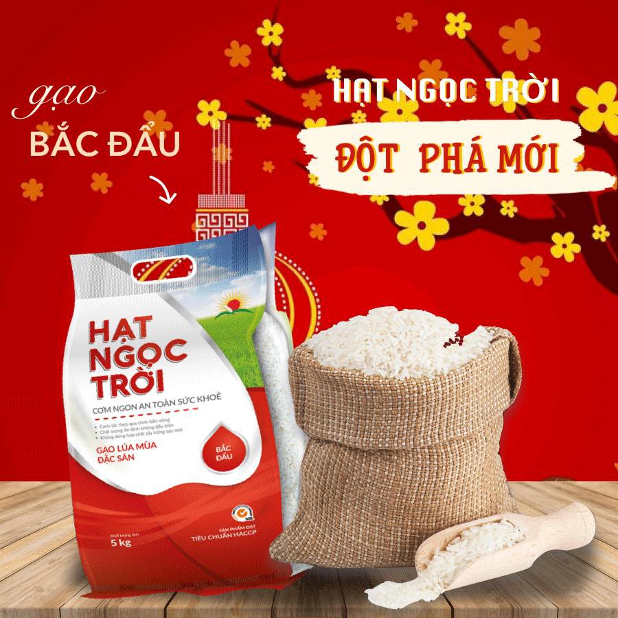 Gạo Hạt Ngọc Trời Bắc Đẩu lúa tôm 5kg