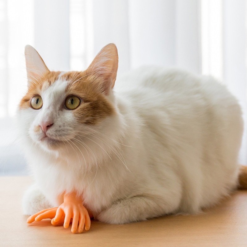 ĐỒ CHƠI ] Mô Hình Bàn Tay Mini