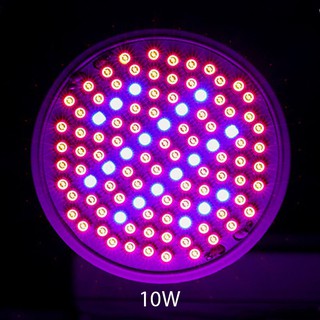 Bóng đèn led trồng cây trong nhà 6W, 10W, 20W đui xoáy E27 vỏ nhựa