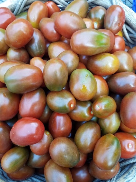 Hạt giống cà chua socola plum