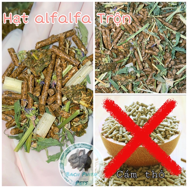 [Mã PET50 giảm 10% - tối đa 50K đơn 250K] Thức ăn cho thỏ, bọ alfalfa ngừa cầu trùng, tiêu chảy dưới 6 tháng tuổi 500gr.