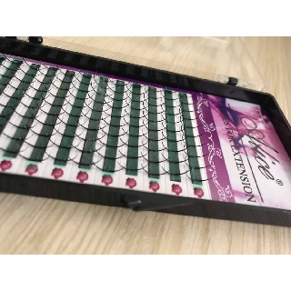 Mi trụ Katun độ cong D