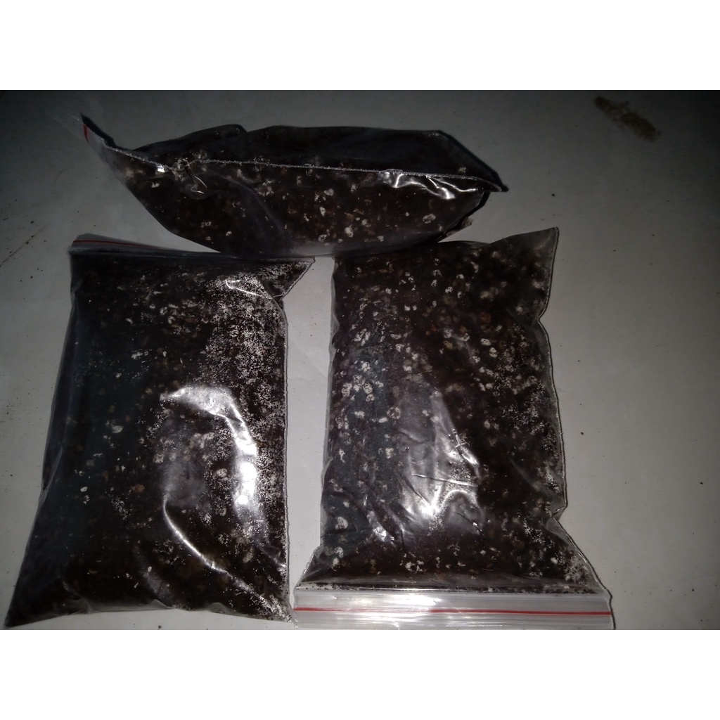 200gr/300gr hỗn hợp đất trồng xương rồng, sen đá chuẩn Havaca