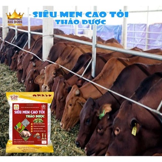 siêu men cao tỏi
