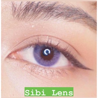 AQUA BLING GRAY LENS KÍNH ÁP TRÒNG