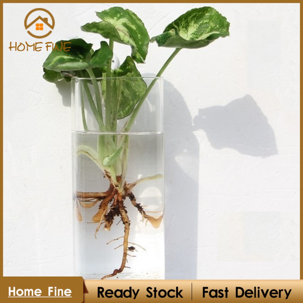 Chậu Hoa Thủy Tinh Hình Vuông 25cm Treo Trang Trí Nhà Cửa