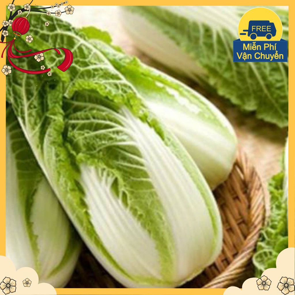 Hạt Giống Cải Thảo F1