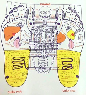 Dụng cụ Massage chân Duy Thành