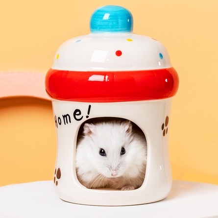 Nhà ngủ  sứ cho Hamster