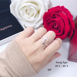 Nhẫn 12 cung hoàng đạo bạc ta
