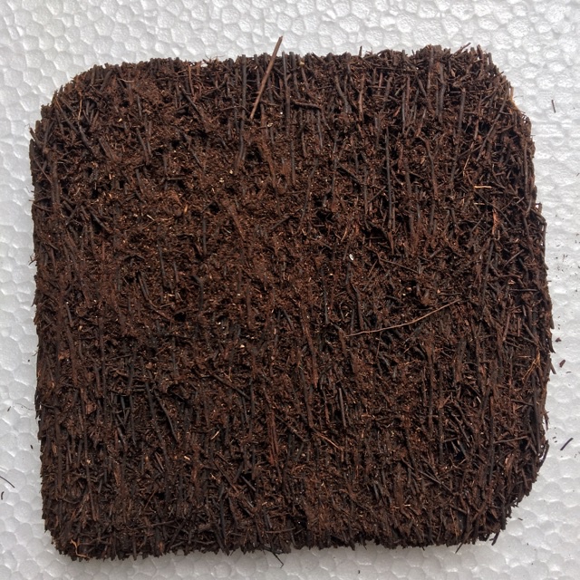 Dớn bảng trồng lan KT 20x20x3cm