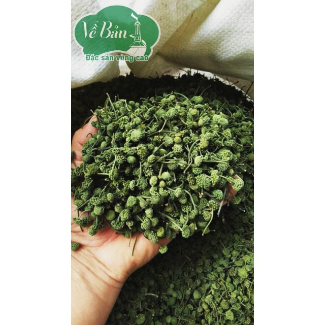 NỤ HOA TAM THẤT HÀ GIANG LOẠI CHỌN GÓI 0.5KG