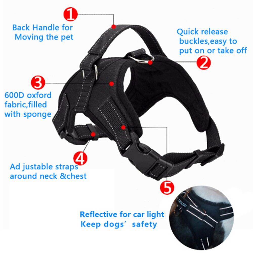 [COD] Dây Dắt Thú Cưng Đi Dạo Cỡ Nhỏ Tùy Chỉnh Tiện Dụng