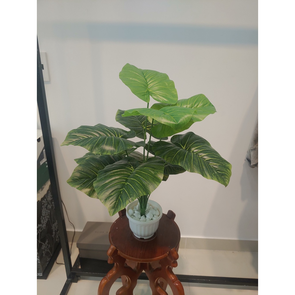 Cây chuối mini, cây trầu bà giả decor, cụm lá trang trí nhà cửa