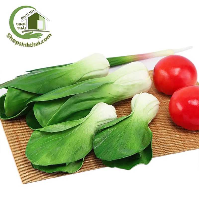 Rau củ quả giả cao cấp - Rau bắp cải, cà rốt, cải thảo, củ cải, khoai tây, hành tỏi, đậu đũa, dưa leo - Chọn loại