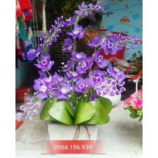 Combo nguyên liệu hoa lan pha lê tím