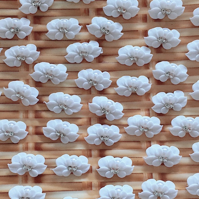 Hoa bột nail ( hoa tay )