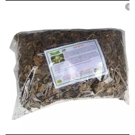 Cây sói rừng DV020