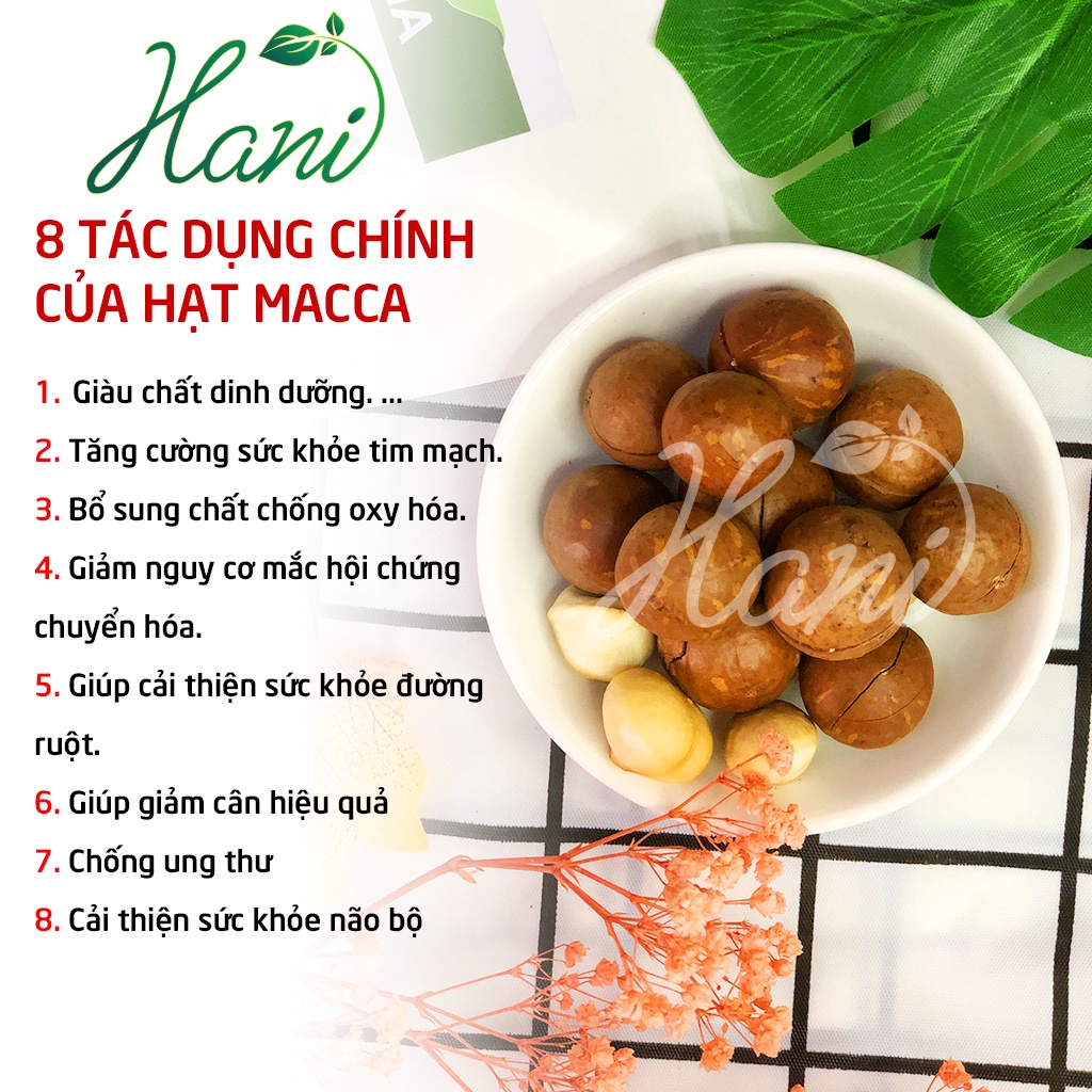 500g Hạt macca Tây Nguyên Sấy Nứt (Có Tặng Dụng Cụ Tách Vỏ)  HANI FOOD