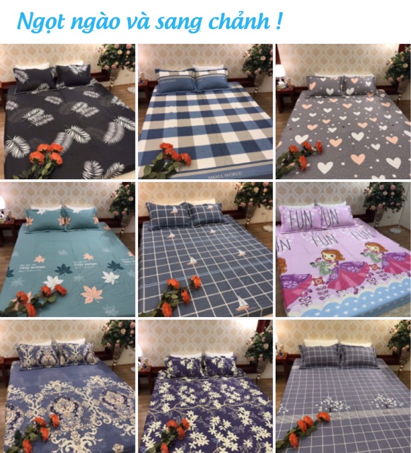 Bộ ga 2 vỏ gối cotton (1,6m x2m )