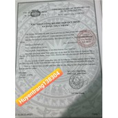Aloe Vera Gel 015 FLP Nước Lô Hội Tươi Nguyên Chất