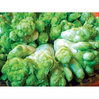 Hạt giống cải mầm đá