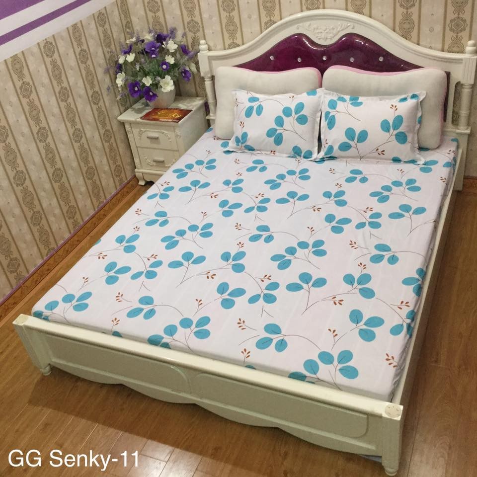 Bộ ga gối Cotton Poly