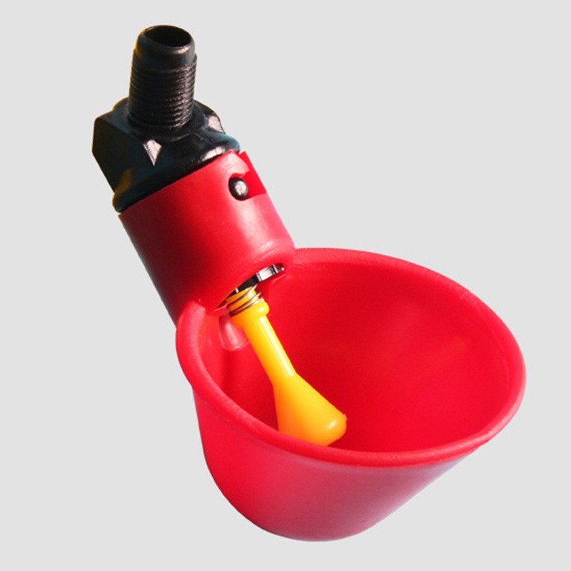 10 Máng Uống Nước Tự Động Cho Gà