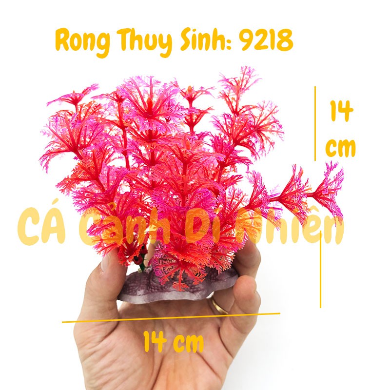 Mô hình cây rong Thủy Sinh trang trí hồ cá cảnh size 12CM