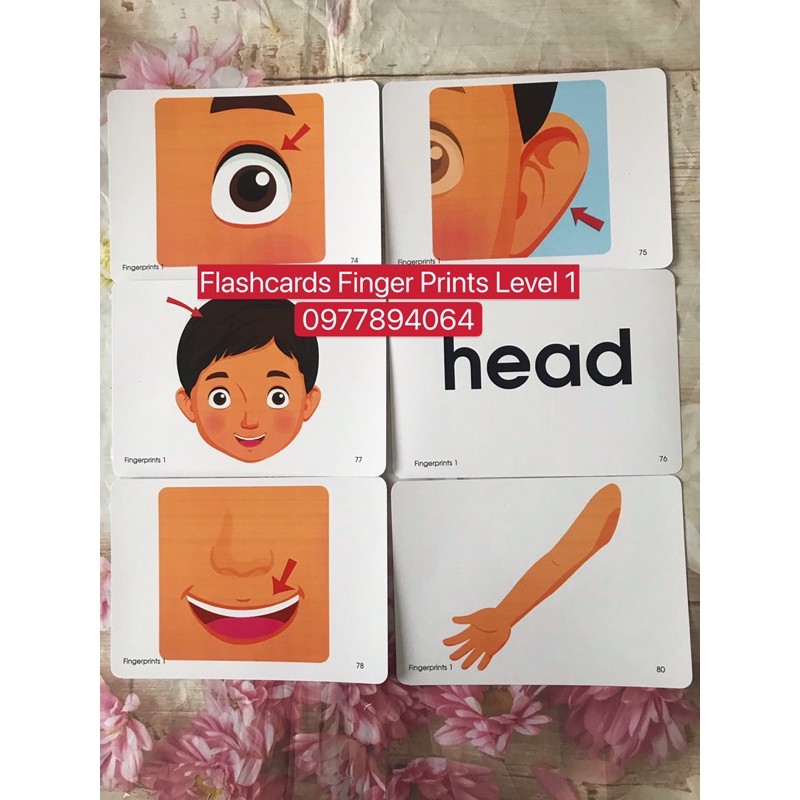 Flashcards  Finger Prints Level 1-2