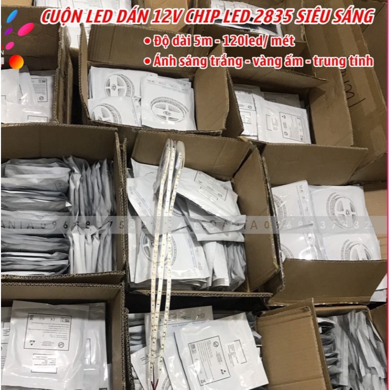 Cuộn 5m led dây dán 12V 2835 - 120 led / Mét có keo 2 mặt ánh sáng trắng
