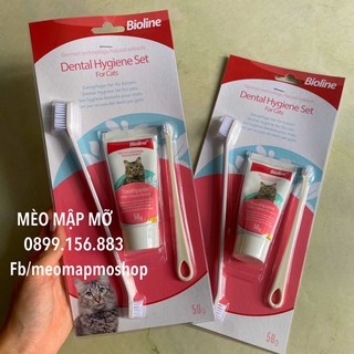 COMBO BÀN CHẢI + KEM ĐÁNH RĂNG CHO MÈO