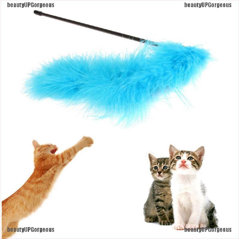 1 Gậy Đồ Chơi Gắn Lông Vũ Cho Mèo