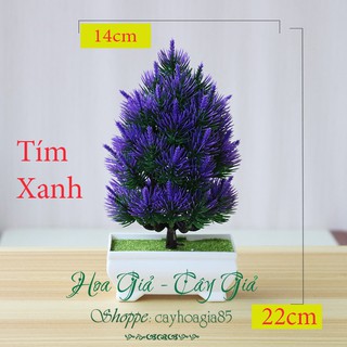 Cây Giả -  Cây Thông Để Bàn