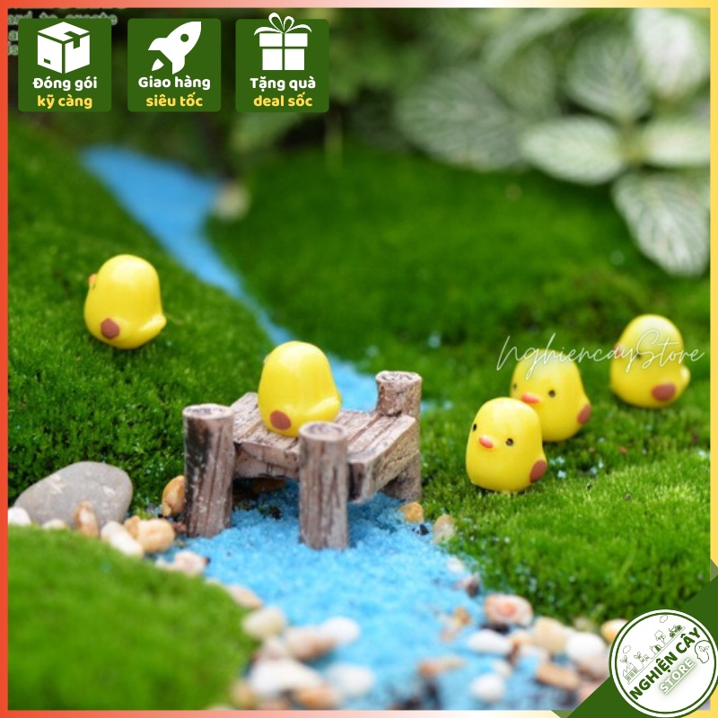 Combo 100 Gà con trang trí tiểu cảnh, cây cảnh, sen đá