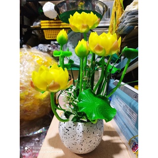 Chậu Sen đất sét ~30cm thành phẩm luôn chậu