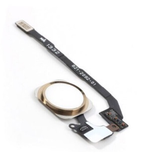 Dây đệm nút home + nút home Iphone 5S